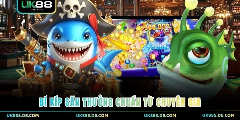Bí kíp săn thưởng chuẩn từ chuyên gia